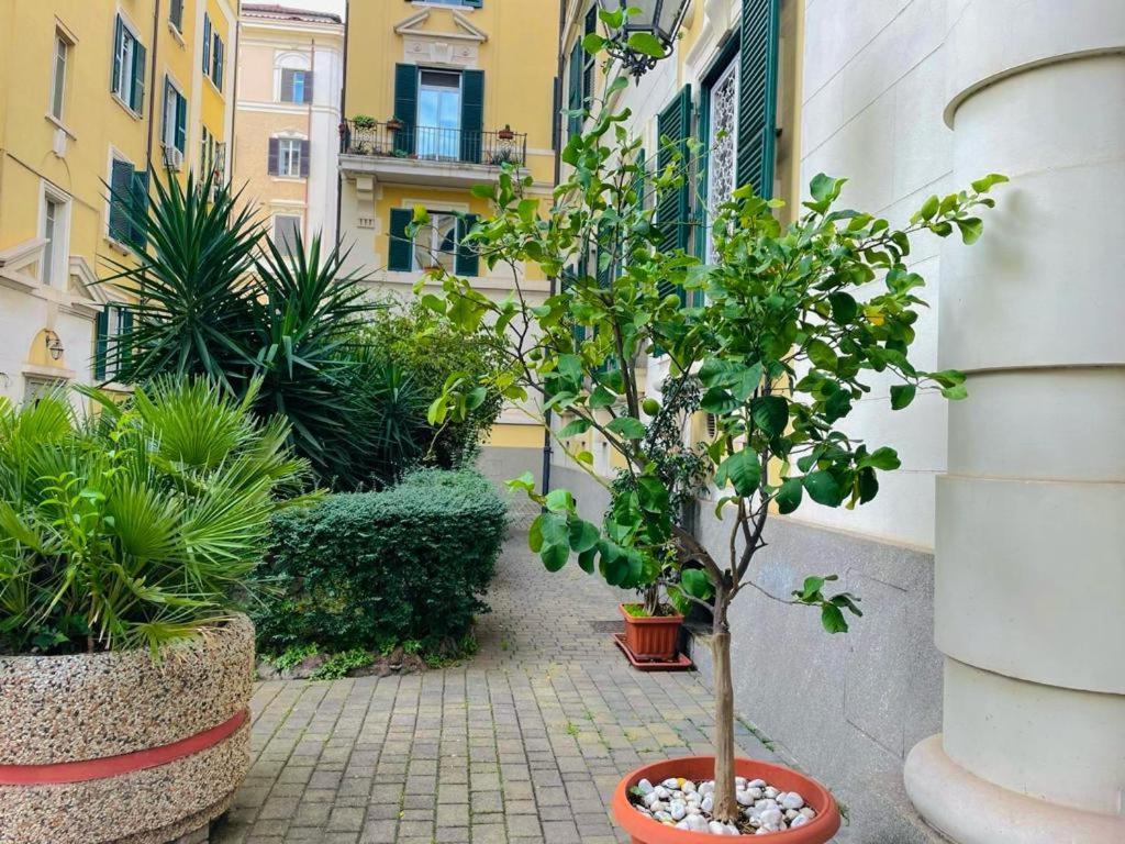 La Cornice Apartment Roma Eksteriør bilde